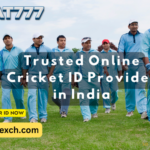 How Online Cricket Betting ID Works In India 2024