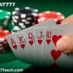 Dive into the Thrill: A Beginner’s Guide to Conquering Online Poker